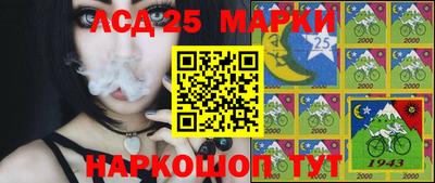 соль ск Шелехов