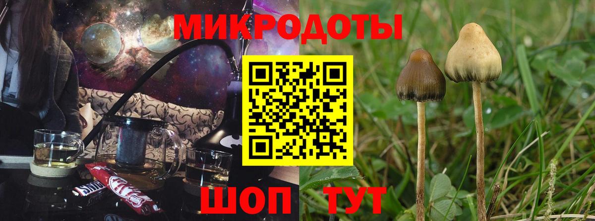 Сокол  Псилоцибиновые грибы MAGIC MUSHROOMS  Вход с VPN 